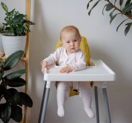 Chicco Chair High Chair