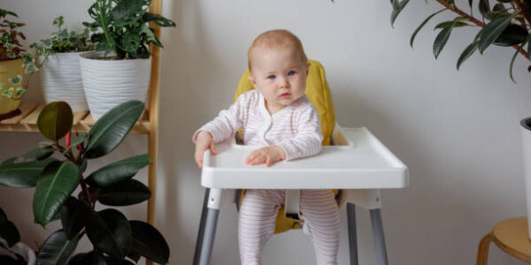 Chicco Chair High Chair